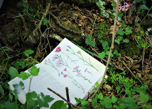 Cuaderno en el bosque